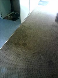 Swansea Carpet Cleaning 354081 Image 1